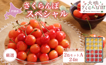 【 先行受付 】さくらんぼ 厳選 さくらんぼ スペシャル 2色 セット Ａ 24粒 （赤・黄） 南陽 月山錦 食べ比べ  フルーツ 果物 季節のフルーツ 旬 旬のフルーツ 夏 化粧箱 ギフト 贈り物 贈答 プレゼント 冷蔵 北海道 芦別市