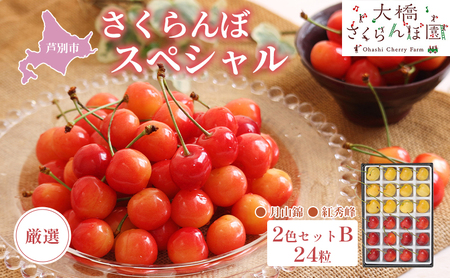 【 先行受付 】さくらんぼ 厳選 さくらんぼ スペシャル 2色 セット B 24粒 （赤・黄） 紅秀峰 月山錦 食べ比べ フルーツ 果物 季節のフルーツ 旬 旬のフルーツ 夏 化粧箱 ギフト 贈り物 贈答 プレゼント 冷蔵 北海道 芦別市