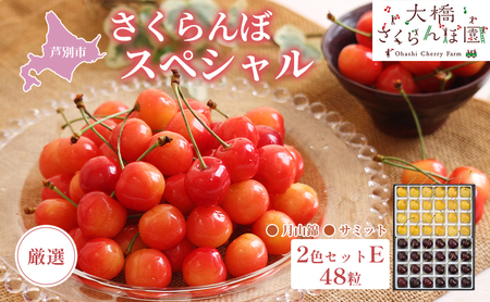 【 先行受付 】さくらんぼ 厳選 さくらんぼスペシャル2色E 48粒 黄 黒 大橋さくらんぼ園 化粧箱入り ギフト お中元 贈り物 月山錦 サミット サクランボ チェリー 果物 果物類 フルーツ デザート 北海道 芦別市