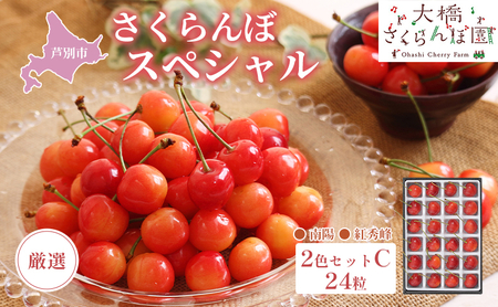 【 先行受付 】さくらんぼ 厳選 さくらんぼ スペシャル 2色 セット C 24粒（赤・赤） 南陽 紅秀峰 フルーツ 果物 季節のフルーツ 旬 旬のフルーツ 夏 化粧箱 ギフト 贈り物 贈答 プレゼント 冷蔵 冷蔵配送 北海道 芦別市