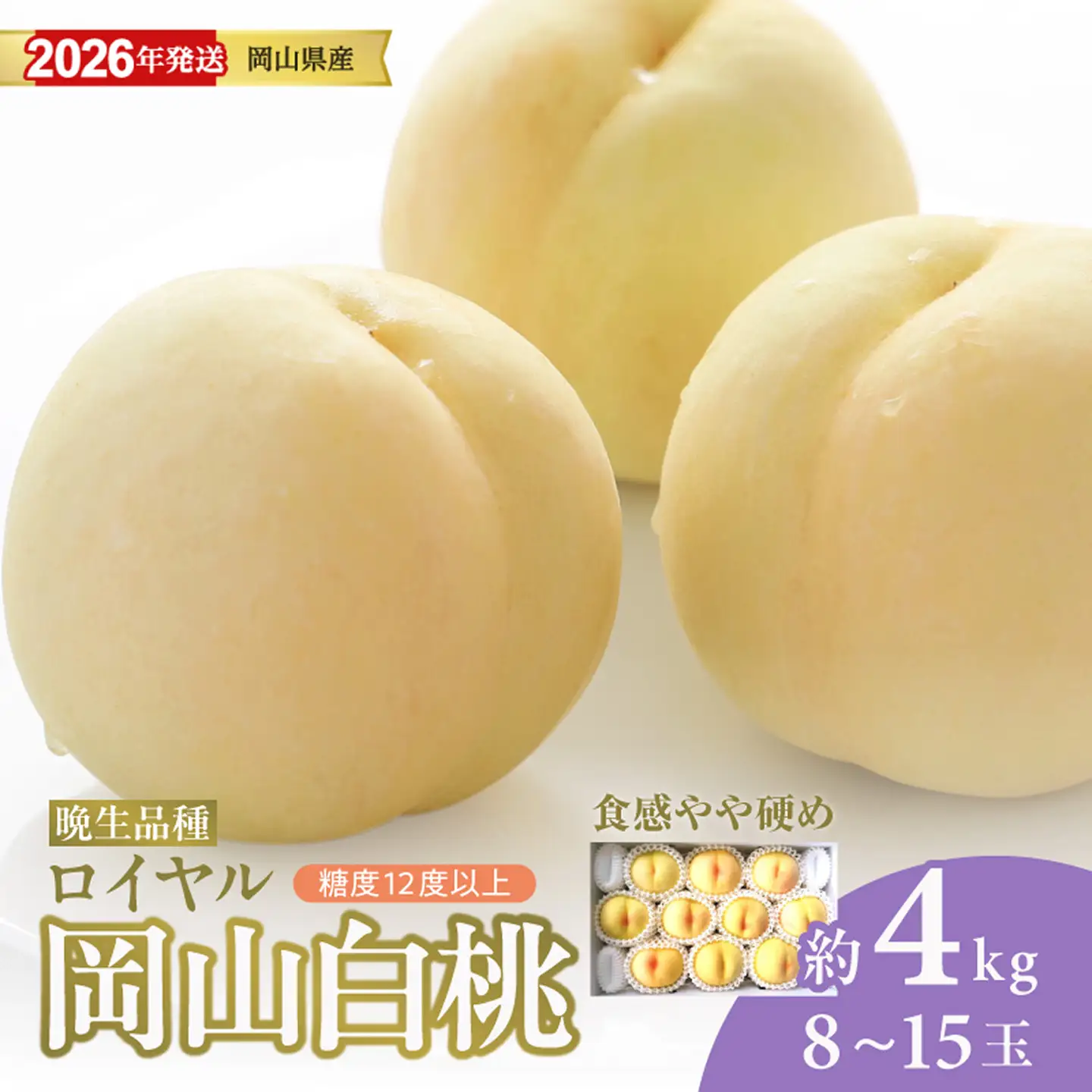 【2026年発送分 先行受付スタート！】岡山県産 白桃（晩生種） 最高ランク！「ロイヤル」約4kg（ 8～15玉）（令和8年8月以降発送）【桃】hz-m