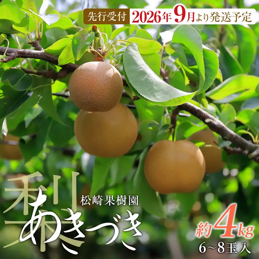 【2026年発送／先行予約】梨「あきづき」約4kg（6～8玉入）【松崎果樹園】