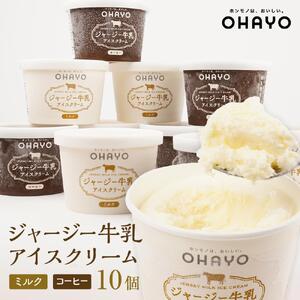 オハヨー乳業 ジャージー牛乳 アイスクリーム 120ml×10個（ミルク・コーヒー）ギフト  | アイスクリーム アイス アイス