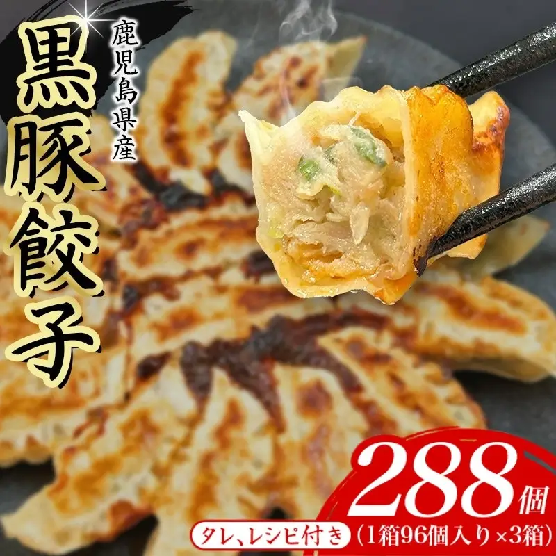 餃子 黒豚冷凍餃子 288個【gnkt0005】