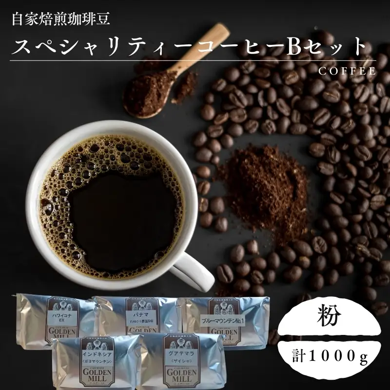 コーヒー 自家焙煎珈琲豆 スペシャリティーコーヒー Bセット 計1000g【粉でお届け】【gdml0022】