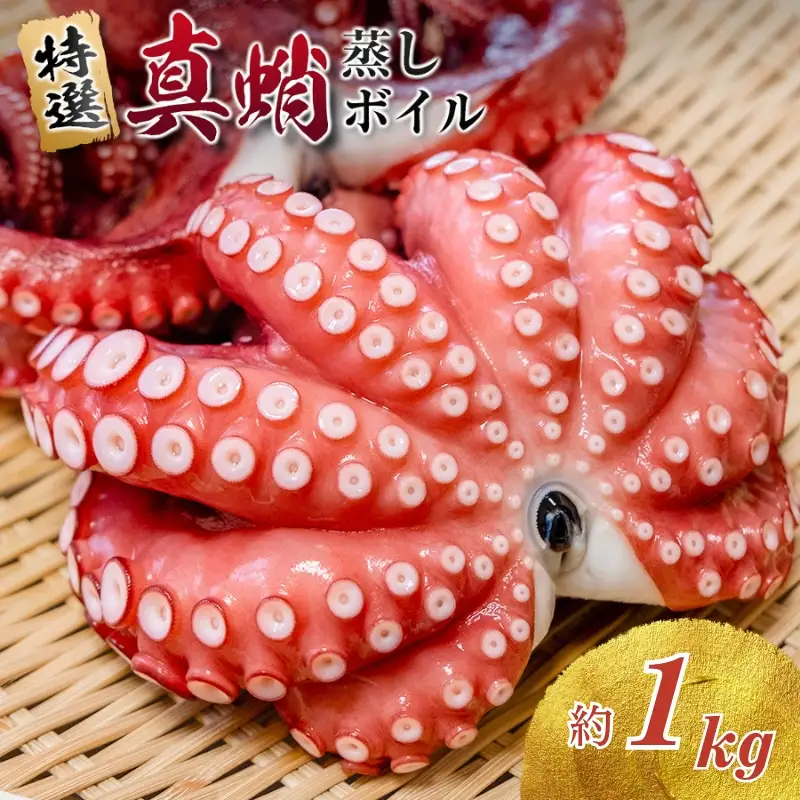 たこ 蒸しボイルたこ 約1kg 2-3尾 【hane0010】