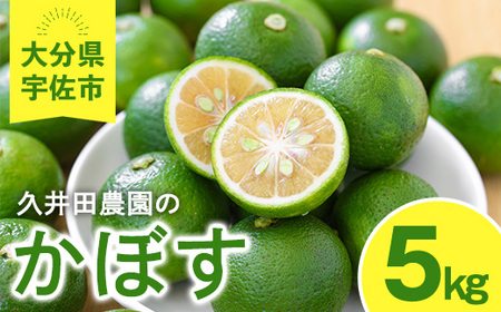 ＜先行予約受付中！2026年8月上旬以降順次発送予定＞かぼす(5kg)柑橘 かんきつ 大分県産直【112600100】【ａｎｄＫ】