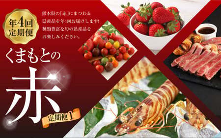 【年4回定期便】「くまもとの赤」定期便①  いちご （ゆうべに） ミニトマト （千果・カラフル2種）＋ 桃太郎トマト くまもとあか牛 クルマエビ 5種 フルーツくだもの 果物 苺 やさい 野菜 トマト 牛肉 肉 お肉 車エビ 海老 エビ 