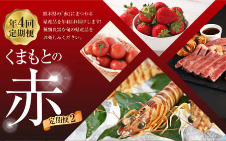 【年4回定期便】「くまもとの赤」定期便② いちご（ゆうべに） 桃太郎トマト くまもとあか牛 クルマエビ 4種 フルーツくだもの 果物 苺 やさい 野菜 トマト 牛肉 肉 お肉 車エビ 海老 エビ