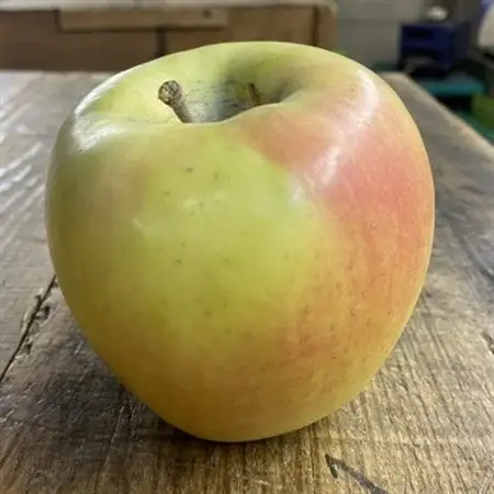 人気沸騰中　名月　訳あり品　5kg(13個～23個)【2026年11月より順次発送】_果物・フルーツ りんご  リンゴ 林檎_【配送不可地域：離島】【1492331】