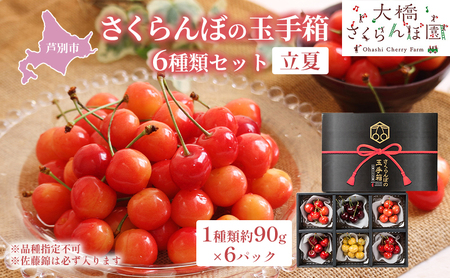 【 先行受付 】さくらんぼ さくらんぼの玉手箱 6種類 セット ※品種指定不可 サミット 月山錦 南陽 紅秀峰 佐藤錦 食べ比べ フルーツ 果物 季節のフルーツ 旬 旬のフルーツ 夏 ギフト 贈り物 贈答 プレゼント 北海道 芦別市