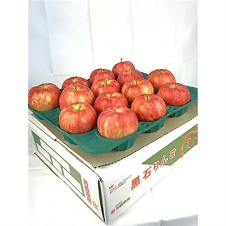 2026年11月～発送開始　酸味ですっきり　訳ありサンジョナゴールド　10kg(26～40個入)_果物・フルーツ りんご  リンゴ 林檎_【配送不可地域：離島・沖縄県】【1495743】