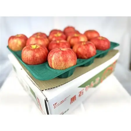 酸味ですっきり! 訳ありサンジョナゴールド　5kg(13～20個入)　2026年11月より発送_果物・フルーツ りんご  リンゴ 林檎_【配送不可地域：離島】【1495751】