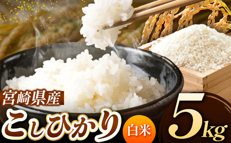 令和7年産  こしひかり 5kg （白米） 宮崎県産 