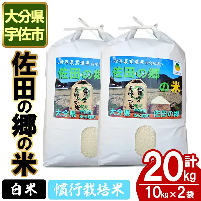 ＜令和7年産＞佐田の郷の米 慣行栽培米(20kg)お米 白米 ごはん ヒノヒカリ ひのひかり ブランド米 常温 常温保存【111700304】【雅設置プロジェクト　佐田の郷の会】