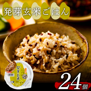 【国産100%】パックご飯 発芽玄米 160g×24個 もっちり パックごはん 幸南食糧