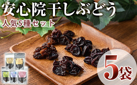 安心院干しぶどう人気セット(合計175g・5種)ドライフルーツ 葡萄 ぶどう 果物 くだもの フルーツ 乾燥 小分け セット 大分県産【100701300】【宮田ファミリーぶどう園】