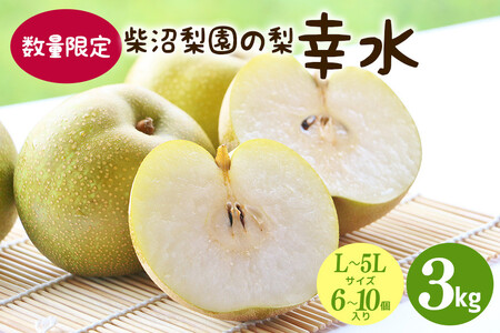 【先行予約/8月中旬から発送】 柴沼梨園の梨 （ 幸水 ） 梨 3kg 6～10個入り L～5Lサイズ BX-014
