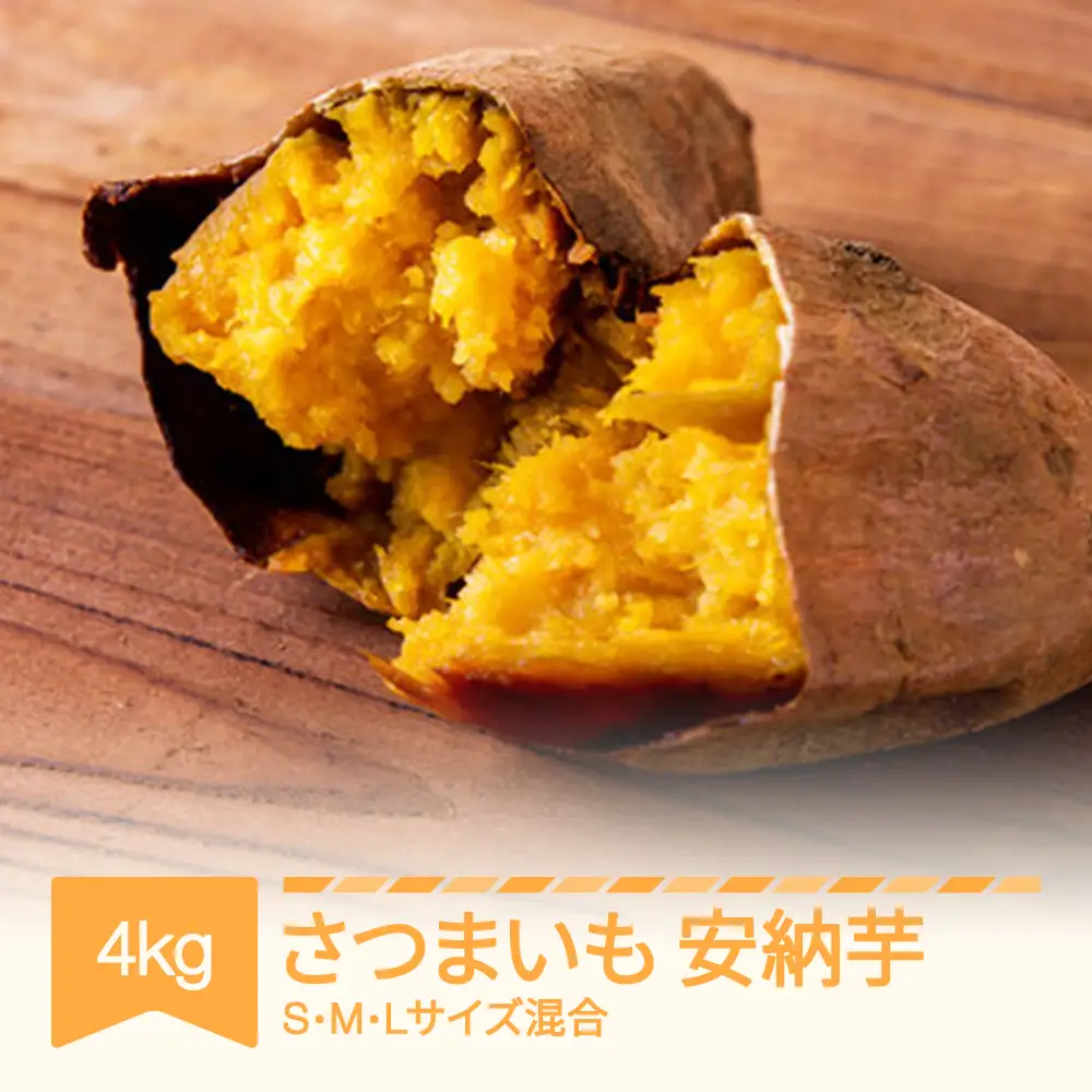 先行予約 令和8年産安納芋 約4kg no-spanx4