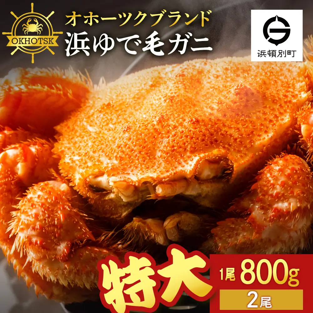 ☆北海道産 毛ガニ 約800g×2尾 セット