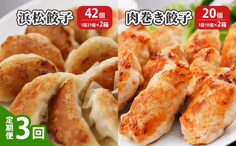 【定期便3回】浜松餃子 42個（1箱21個×2箱）・肉巻き 餃子 20個（1箱10個×2箱） 【配送不可：離島】 餃子 食べ比べ ぎょうざ 惣菜 冷凍 浜松 