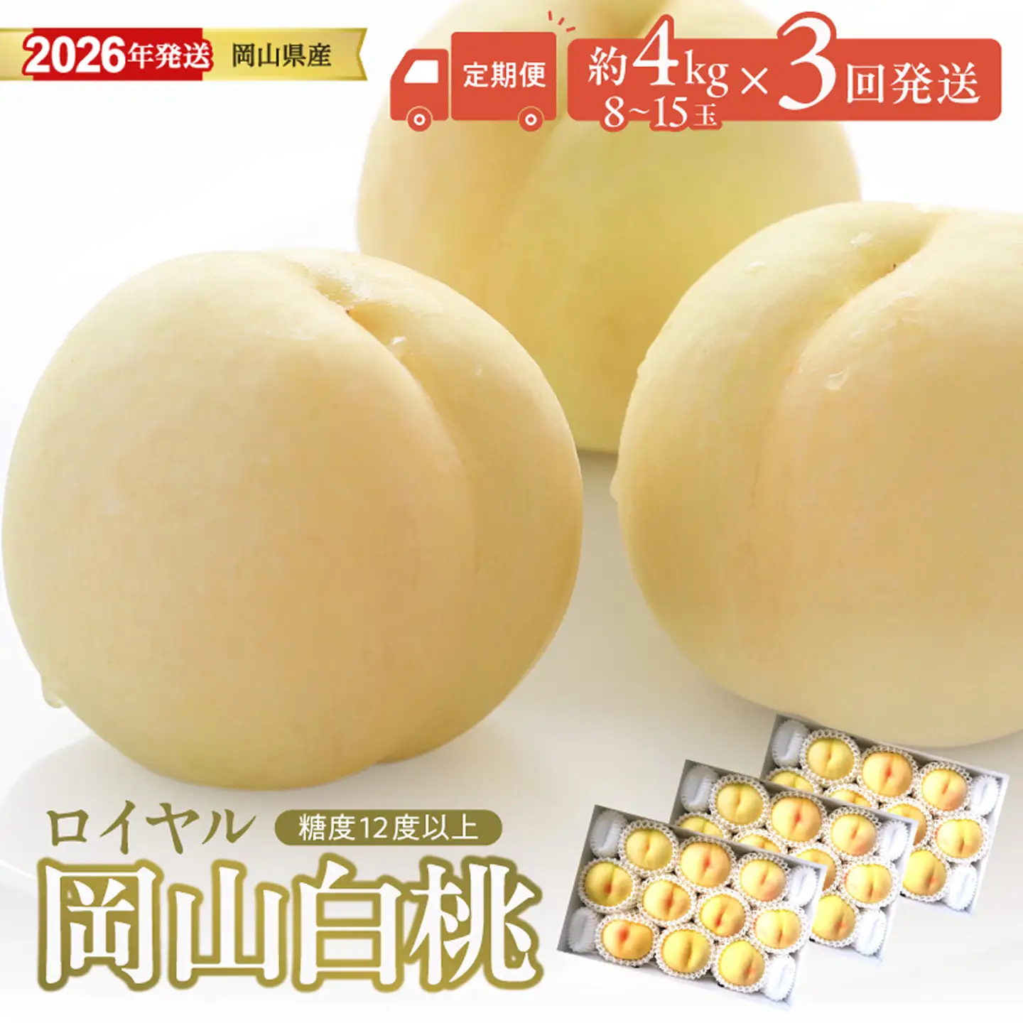 【2026年発送分 先行受付スタート！】【定期便】岡山県産 白桃 最高ランク！「ロイヤル」約4kg×3回発送【桃】