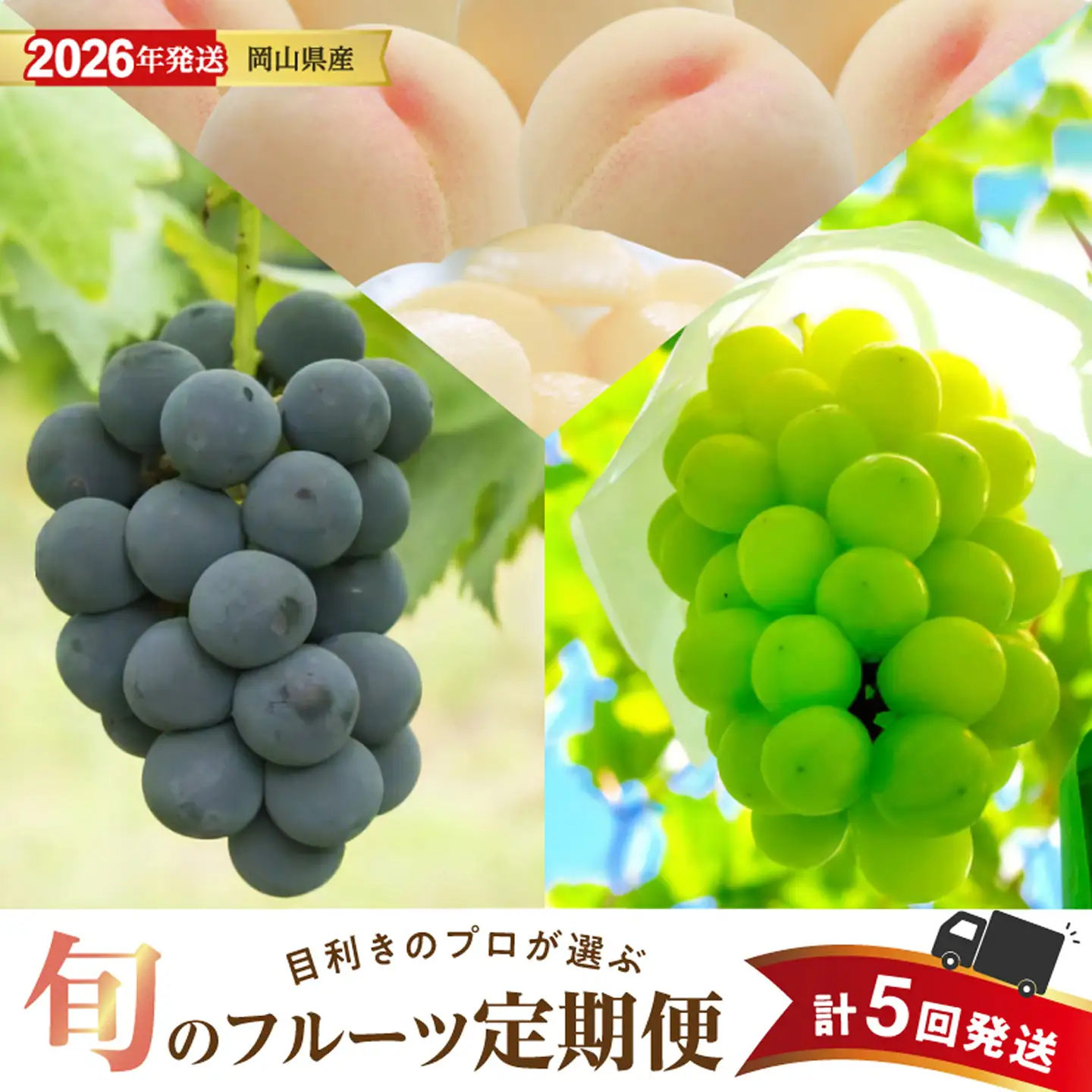 【2026年発送分 先行受付スタート！】【定期便】岡山県産 白桃 約4kg・ぶどう 約5kg 計５回発送【桃 ぶどう】