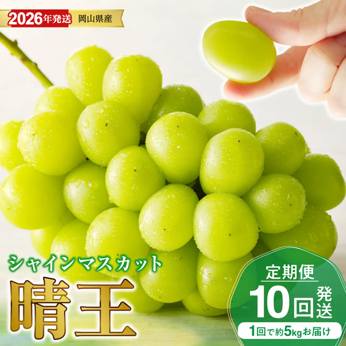 【定期便】岡山県産 シャインマスカット 晴王 秀品 大房 約5kg 5～9房目安 ×10回発送【シャインマスカット】