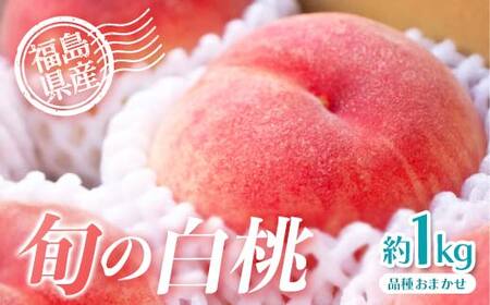 【2026年出荷分先行予約】福島県産 どれが届くかお楽しみ白桃 約1kg (3～6玉) 農業生産法人種まきうさぎ株式会社 旬の桃 伊達市産 伊達の桃 フルーツ 果物 もも モモ momo F20C-946