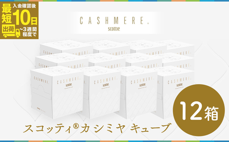 【ティッシュ】スコッティ カシミヤ キューブ 80組(1箱)×12箱