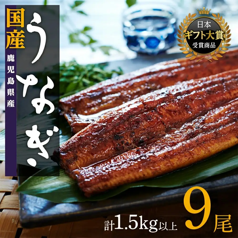 鹿児島県産うなぎ長蒲焼9尾（合計1.5kg以上）