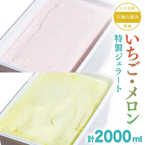 茨城県産 大地の恵み 特製 ジェラート いちご メロン 各2000ml