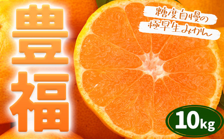 【先行予約】みかん 極早生みかん 豊福 10kg