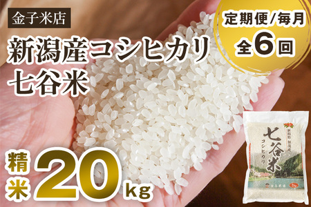 【令和7年産】【定期便6ヶ月毎月お届け】老舗米穀店が厳選 新潟県加茂市産コシヒカリ「七谷米」精米20kg（5kg×4）〈順次出荷〉 従来品種 金子米店