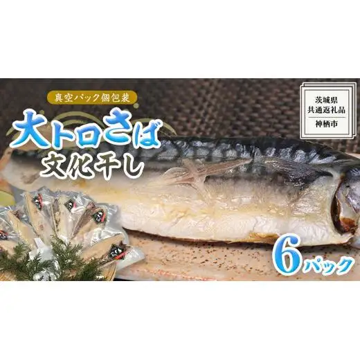 大トロ さば文化 干し 1枚真空 6パック ( 茨城県共通返礼品 :神栖市 )