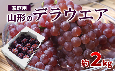 【ご家庭用】山形のデラウエア M～3L 約2kg(9～22房) [粒サイズおまかせ]【令和8年産先行予約】 FS24-137 くだもの 果物 フルーツ 山形 山形県 山形市 2026年産