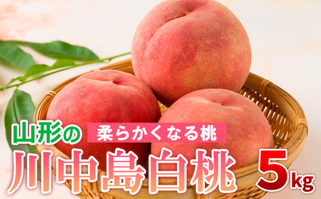 山形の川中島白桃 5kg (10～16玉) [柔らかくなる桃]【令和8年産先行予約】FS24-565 くだもの 果物 フルーツ 山形 山形県 山形市 2026年産