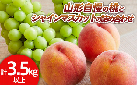 山形自慢の桃とシャインマスカットの詰め合わせ 秀品 3.5kg 以上【令和8年産先行予約】 FS24-153 くだもの 果物 フルーツ 山形 山形県 山形市 2026年産