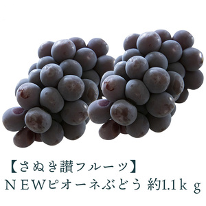 NEWピオーネぶどう 約1.1kg