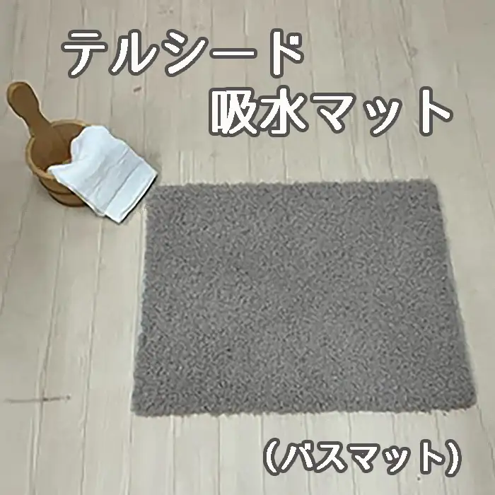 テルシード 吸水マット（バスマット） No.253