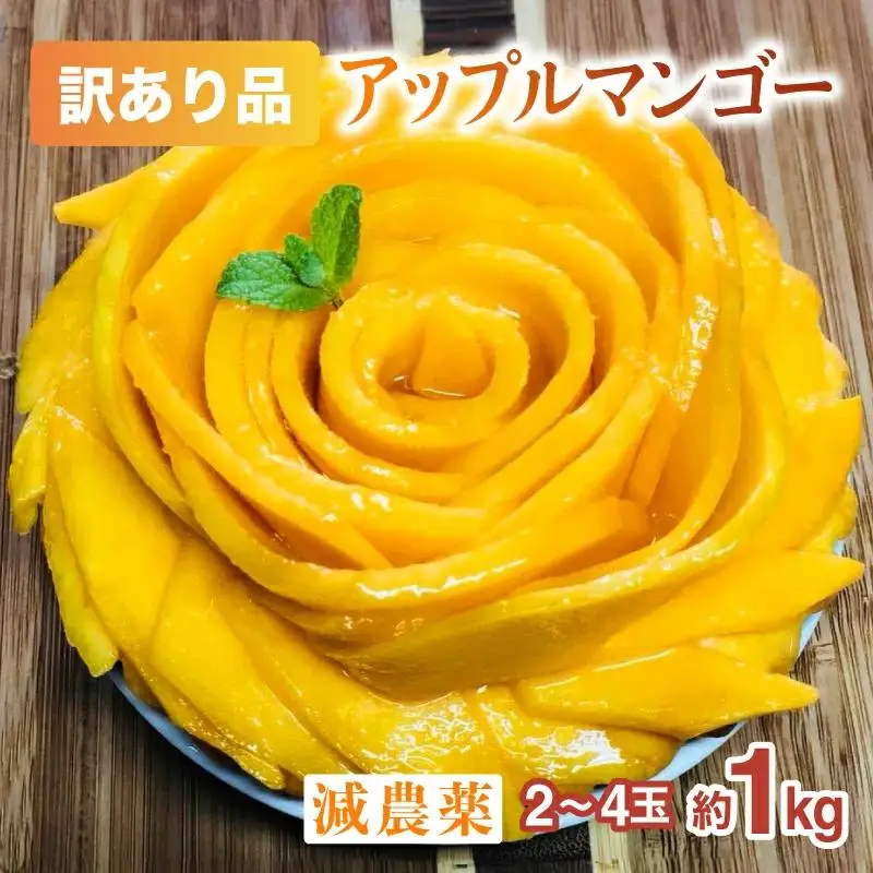 【訳あり】 アップルマンゴー 約1kg 2～4玉 