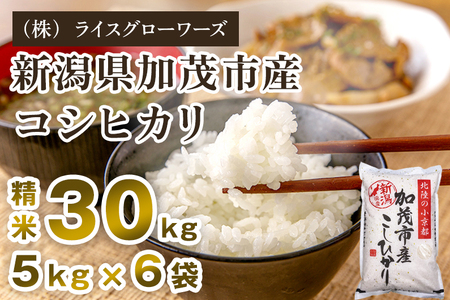 【令和7年産】新潟県 加茂市産コシヒカリ 30kg（5kg×6）《順次出荷》 （株）ライスグローワーズ