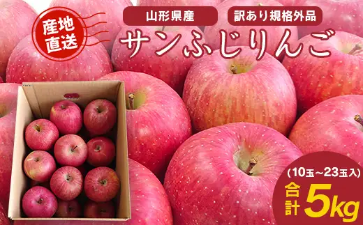 《先行予約》令和8年産 【ご家庭用】りんご サンふじ 5kg （10玉 - 23玉）山形県産 【2026年11月下旬頃から順次発送予定】2026年産 山形産　013-B-JF029