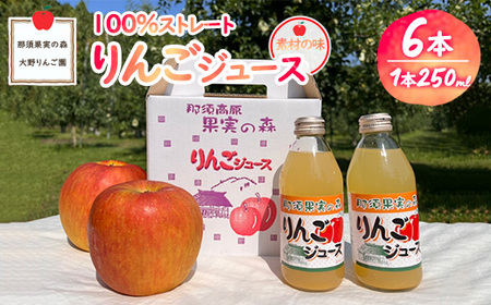 那須果実の森りんごジュース250ml×6本〔P-229〕｜リンゴジュース 林檎ジュース 100％ 果物 フルーツ