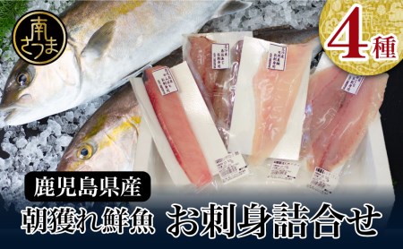 ◆お申込みの翌月にお届け◆【漁師厳選】朝獲れ鮮魚のお刺身詰め合わせ（4種） 魚 冷蔵 刺身 鮮魚 ヤマチョウ 鹿児島県産 海鮮 直送 セット 詰め合わせ ヤマチョウ 南さつま市