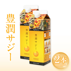 豊潤サジー 1000ml×2本セット サジージュース【紙パックタイプ】 鉄 鉄分 果実