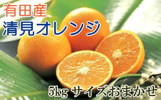 【濃厚】農家さん直送の清見オレンジ 5kg（サイズおまかせ・秀品）※2027年3月上旬～3月下旬頃に順次発送【tec011-r-5】