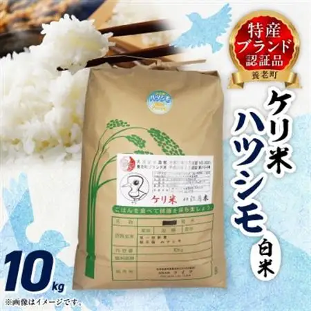 令和7年岐阜県養老産ケリ米ハツシモ　白米10kg【1512096】