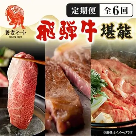 【毎月定期便】月替わりで色々な飛騨牛を楽しめる全6回【配送不可地域：離島】【4051414】