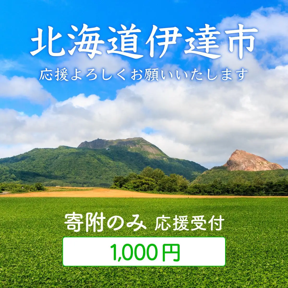 [5525-1000]伊達市 寄附のみ 応援受付 1,000円コース（返礼品なし 寄附のみ 1000円）
